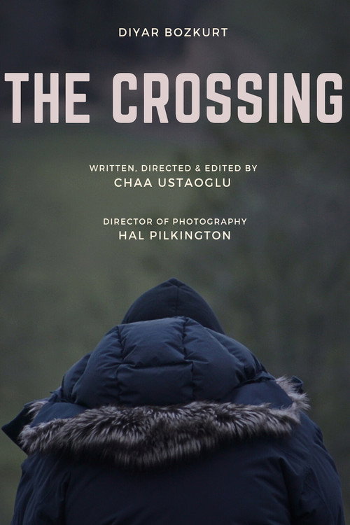 Movie poster for The Crossing