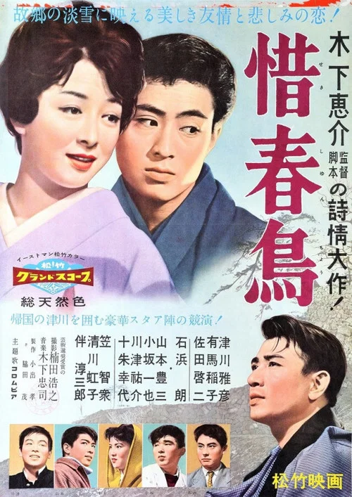 Movie poster for Farewell to Spring (1959)