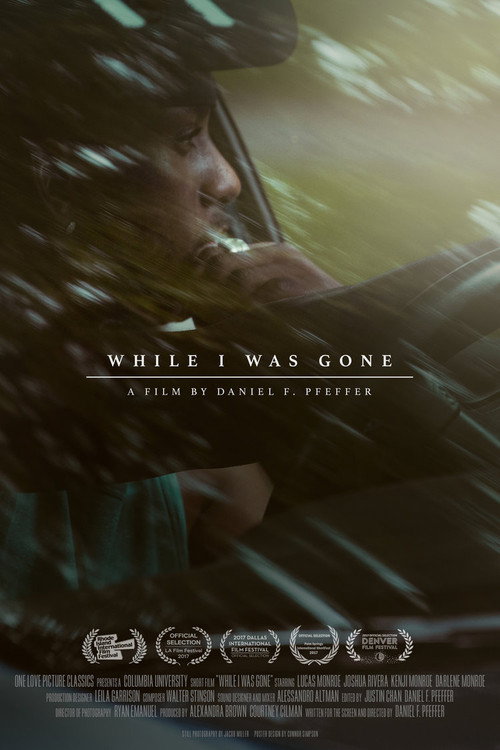 Movie poster for While I Was Gone (2017)