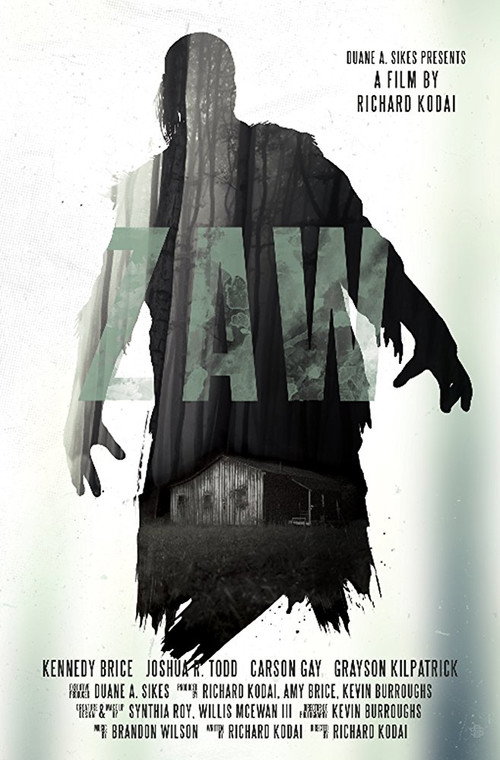 Movie poster for Zaw (2016)