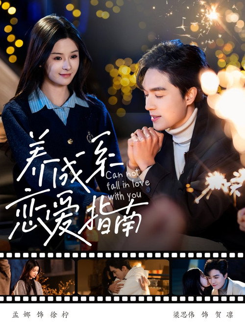 Series poster for 养成系恋爱指南 (2025)