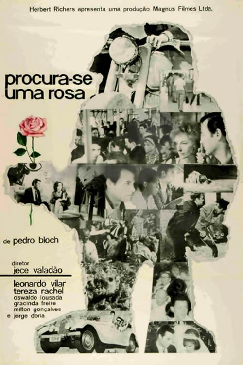 Movie poster for Procura-se Uma Rosa (1964)