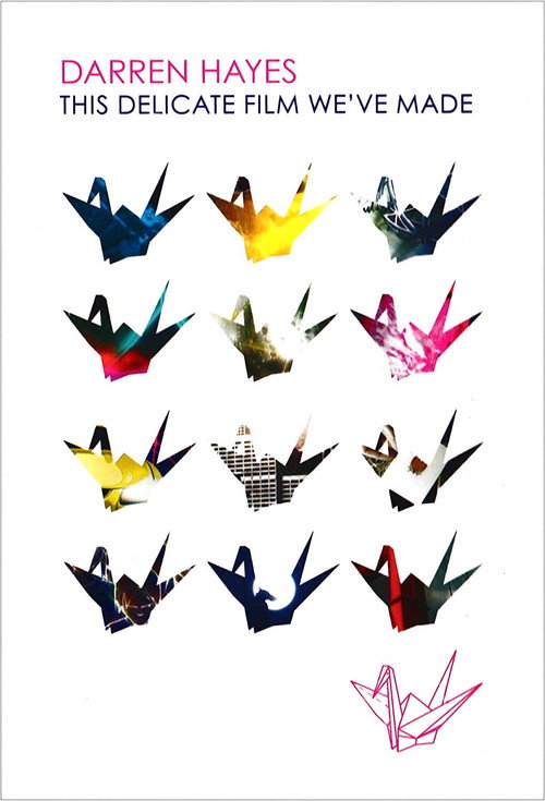 Movie poster for Darren Hayes: This Delicate Film We've Made (2009)