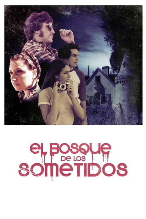 Movie poster for The Flaying (2012)