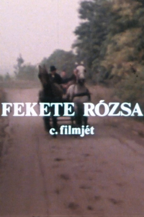 Movie poster for Fekete rózsa (1980)