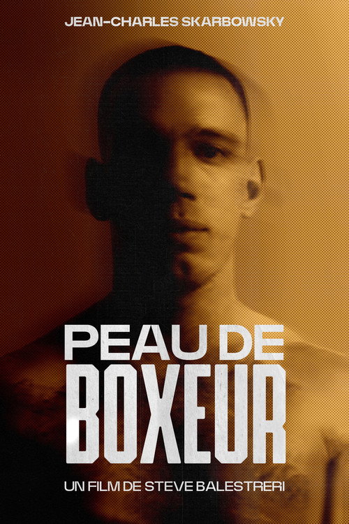 Movie poster for Peau De Boxeur (2000)