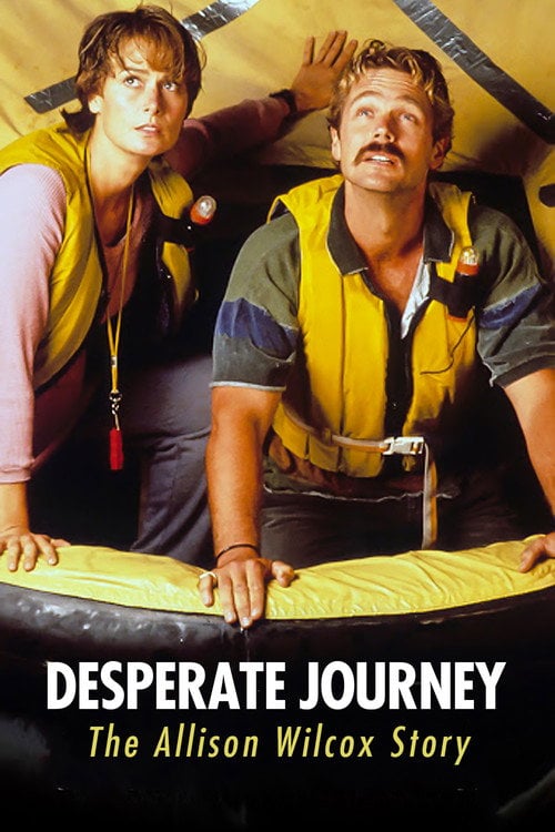Movie poster for Desperate Journey: The Allison Wilcox Story (1993)