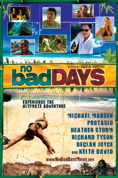 Movie poster for No Bad Days (2008)