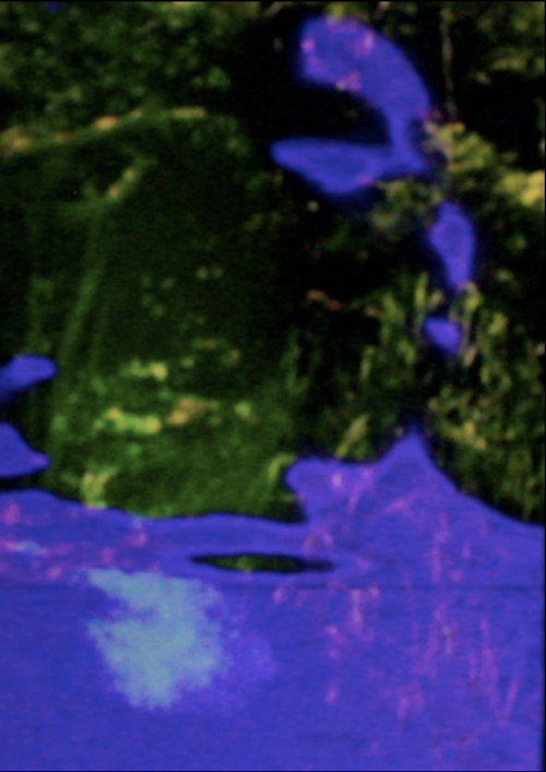 Movie poster for The Spine Folds Far Away (2020)