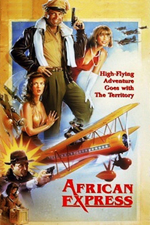Movie poster for African Express (1990)