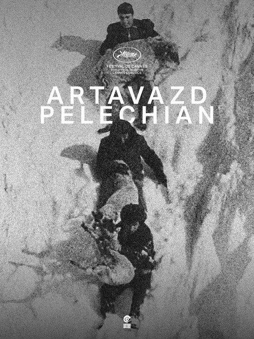 Movie poster for PELECHIAN PROJECT