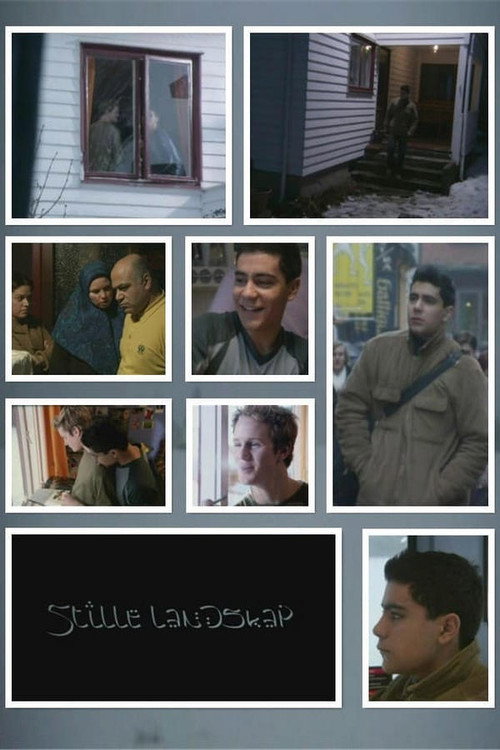 Movie poster for The Silent Landscape (2003)