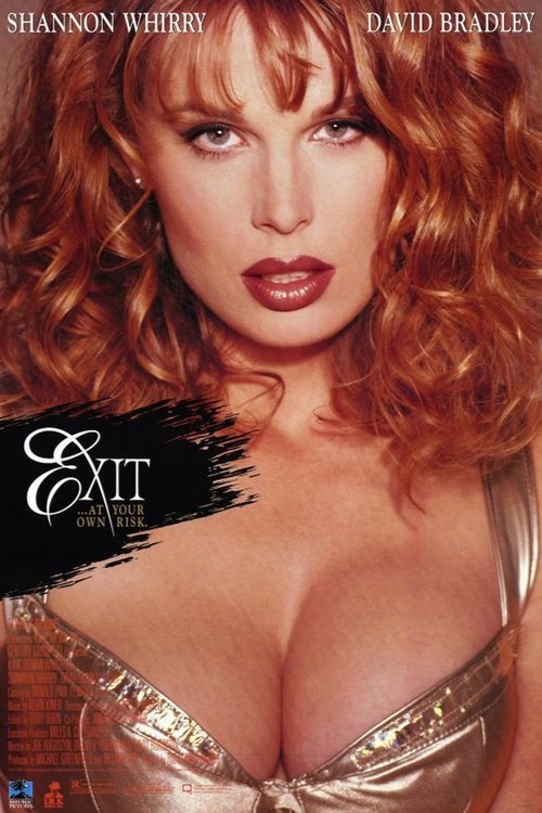 Movie poster for Exit (1996)