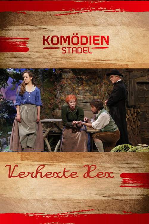 Movie poster for Der Komödienstadel - Verhexte Hex (2009)