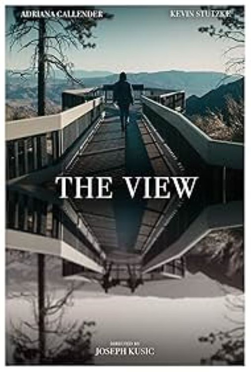 Movie poster for The View (2021)