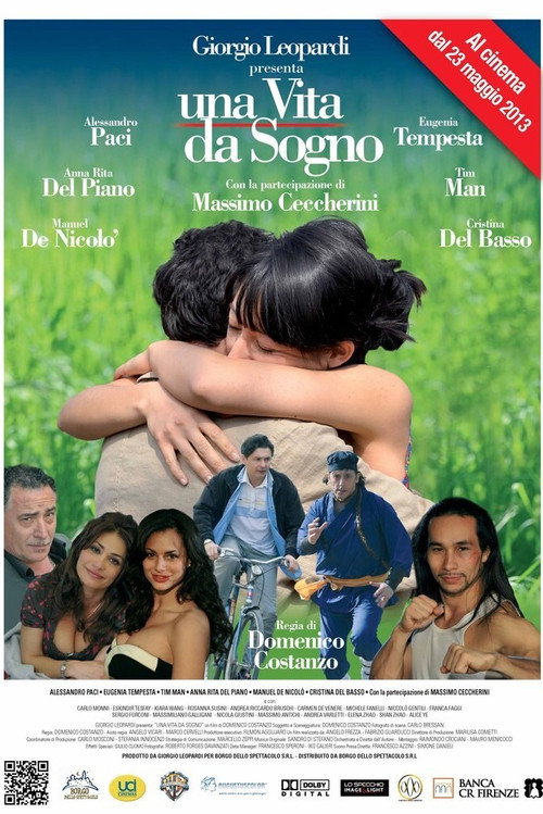 Movie poster for Una vita da sogno (2013)