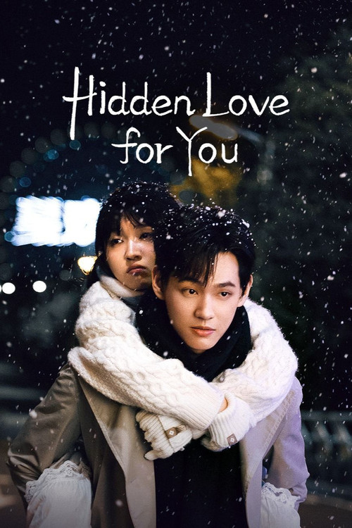 Hidden Love for You poster