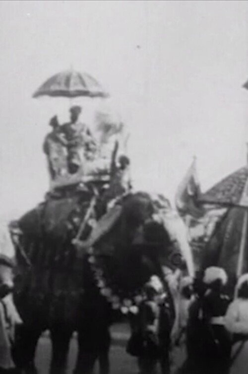 Movie poster for Procession of Elephants with Howdahs - India (1905)