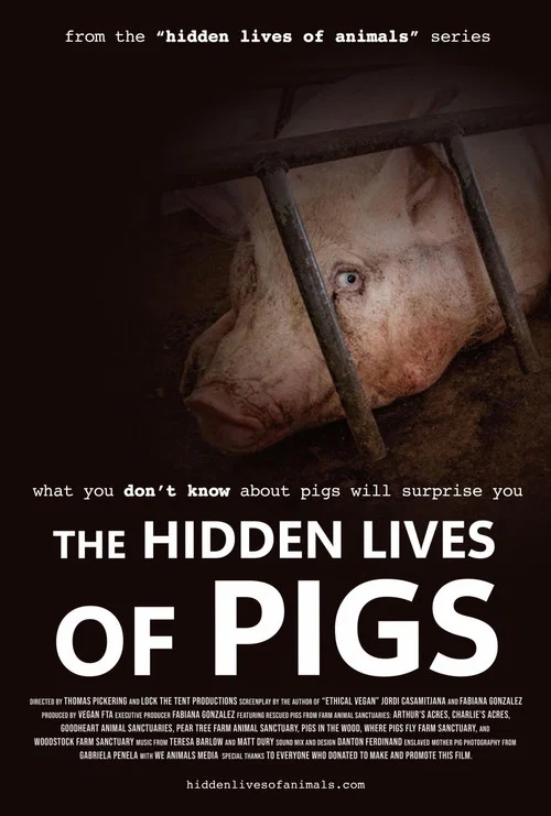 Movie poster for The Hidden Lives of Pigs (2025)
