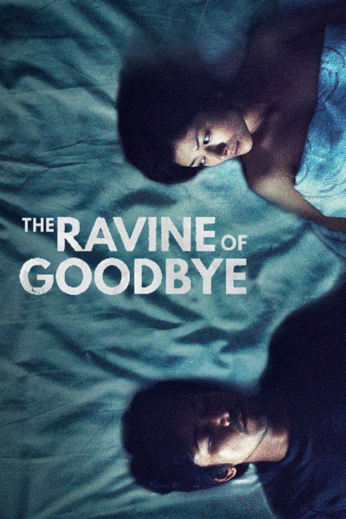 Movie poster for The Ravine of Goodbye (2013)