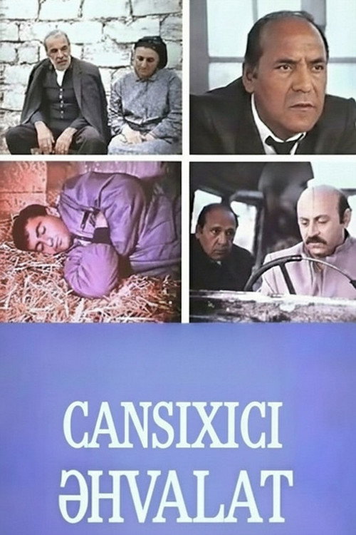 Movie poster for A Most Ordinary Story (1988)