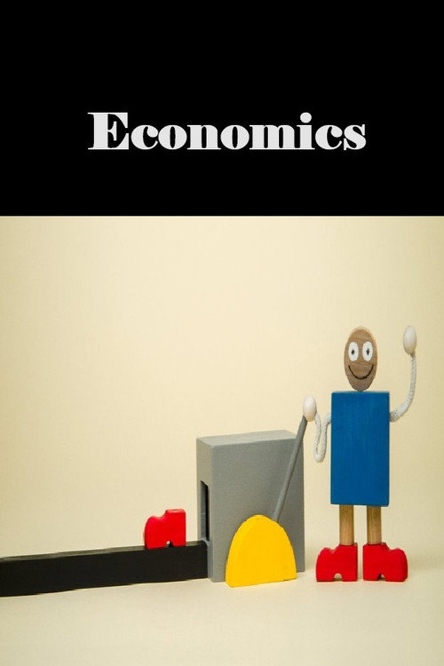 Movie poster for Economics (2020)