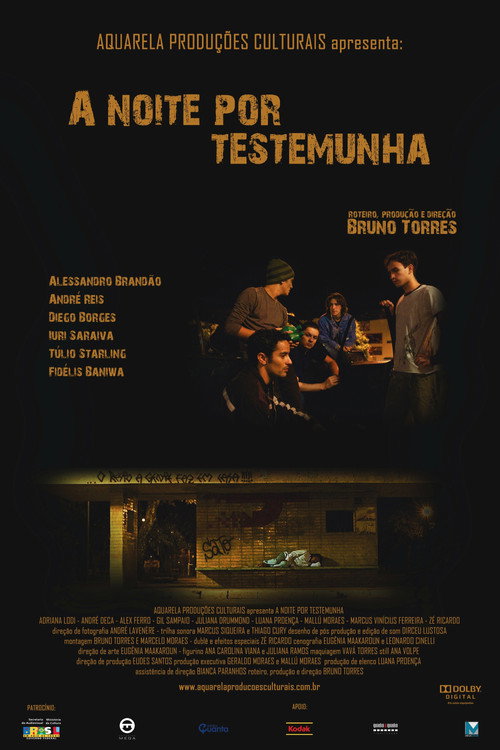 Movie poster for A Noite por Testemunha (2009)