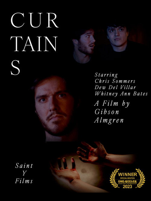 Movie poster for Curtains (2024)