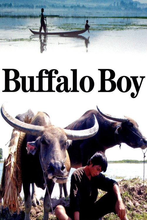 Movie poster for Buffalo Boy (2004)
