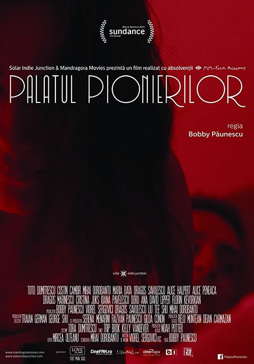 Movie poster for Pioneers' Palace