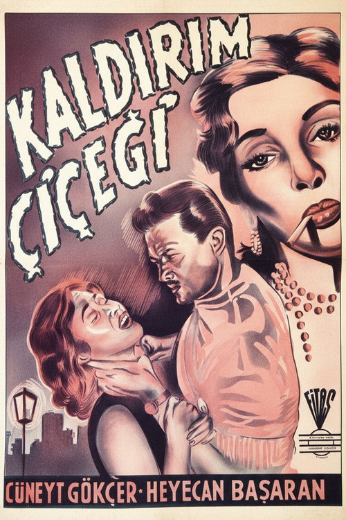 Movie poster for Kaldırım Çiçeği (1953)