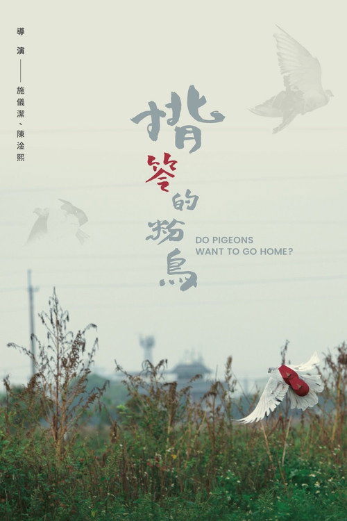 Movie poster for Do Pigeons Want to Go Home? (2025)