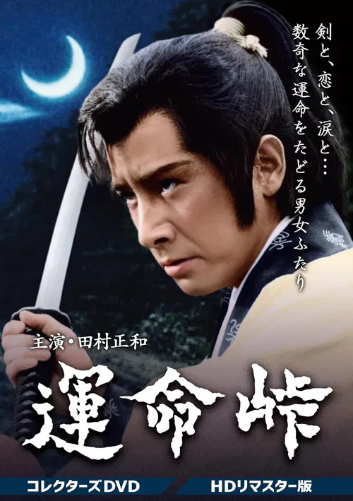 Fateful Mountain Pass poster