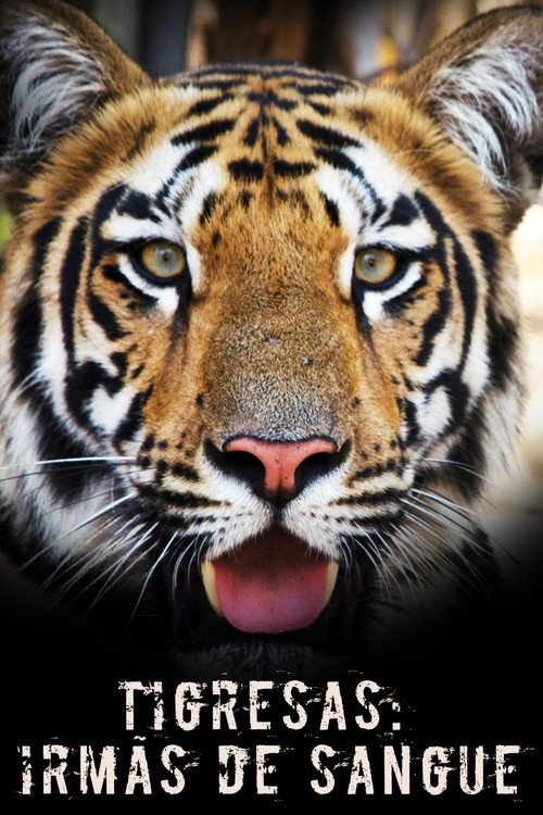 Movie poster for Tigress Blood (2014)