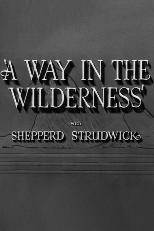 Movie poster for A Way in the Wilderness (1940)