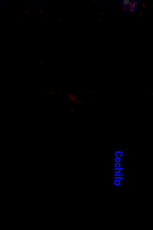 Movie poster for Cochilo (2024)