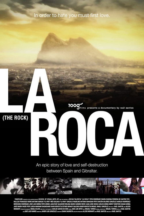 Movie poster for The Rock (2011)