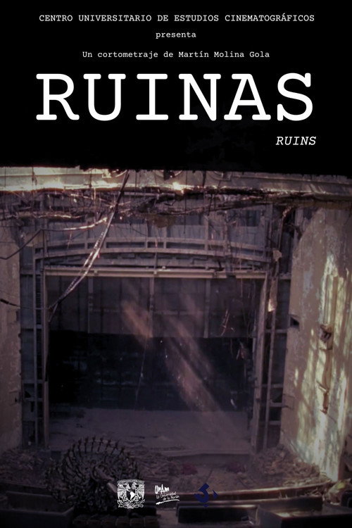 Movie poster for Ruins (2012)