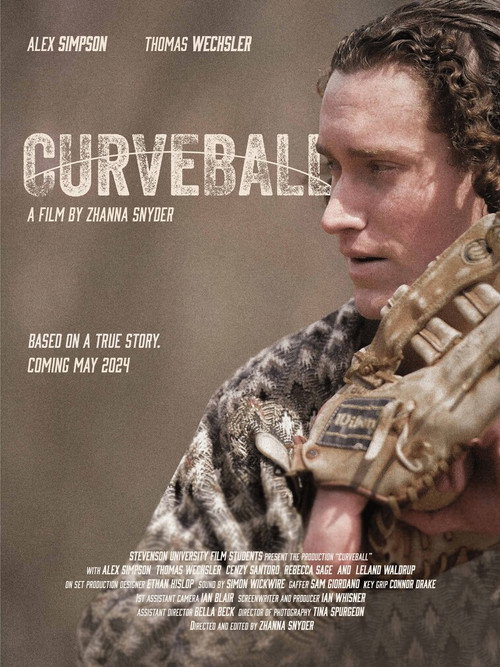 Movie poster for Curveball (2024)