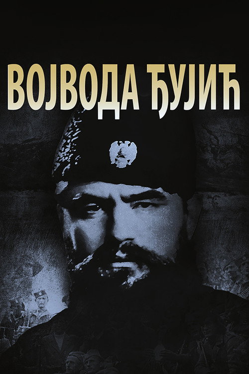 Movie poster for Voivode Đujić (2020)