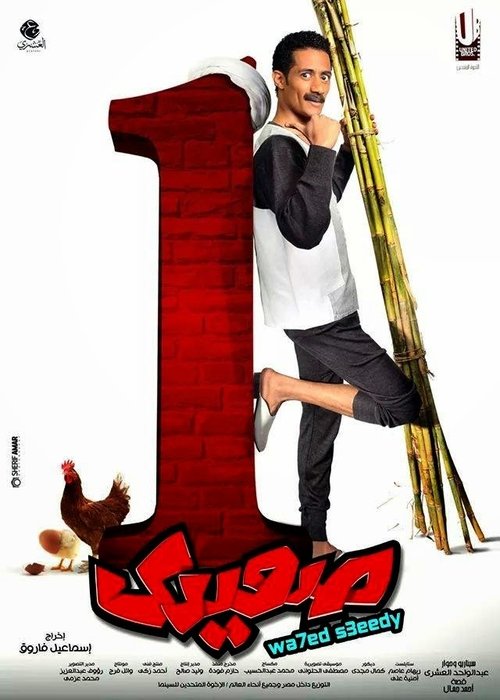 Movie poster for Wahed Sa'idy (2014)