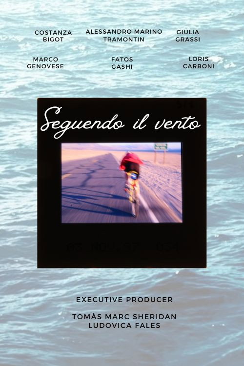 Movie poster for Seguendo il vento (2024)