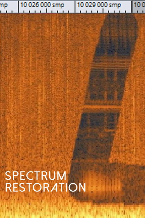 Movie poster for Spectrum Restoration (2022)