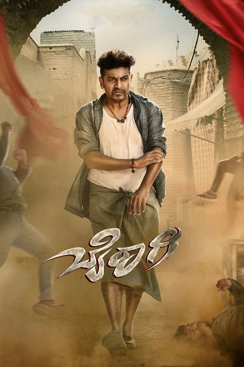 Movie poster for Bairagee (2022)