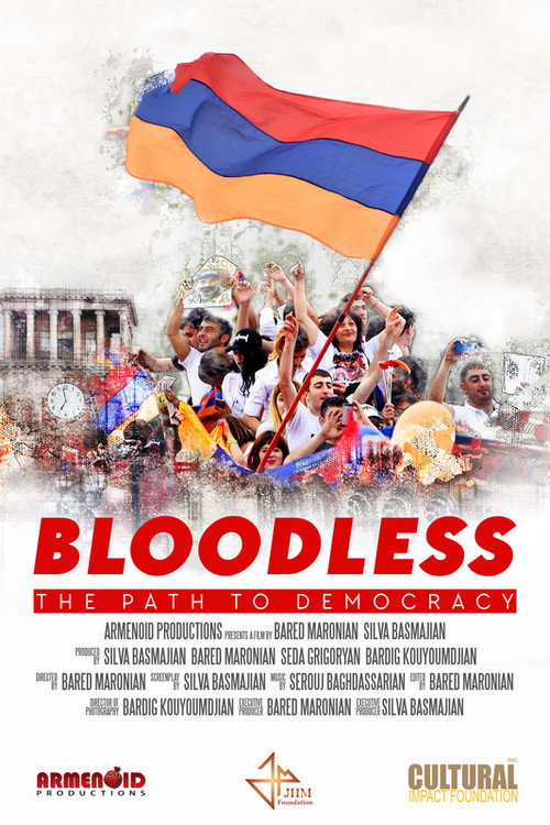 Movie poster for Bloodless: The Path to Democracy (2020)