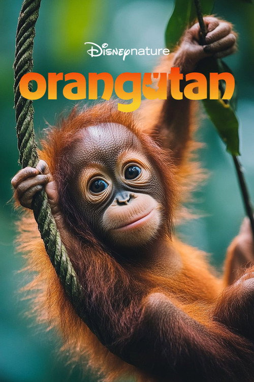 Movie poster for Orangutan (2026)