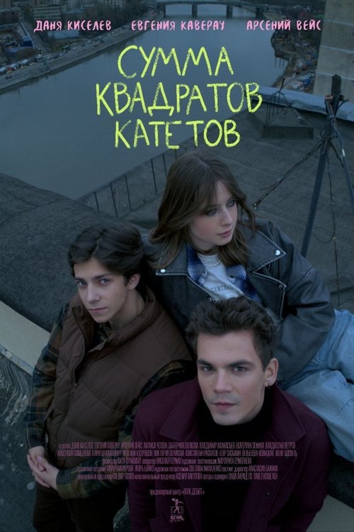 Movie poster for Сумма квадратов катетов (2024)
