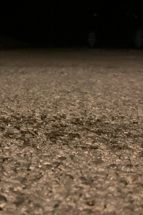 Movie poster for Snails Steadily Stroll the Street 2: Diligent Dirt-Dwellers Dash (Snails Steadily Stroll Lenin Nightcore Remix) (2024)