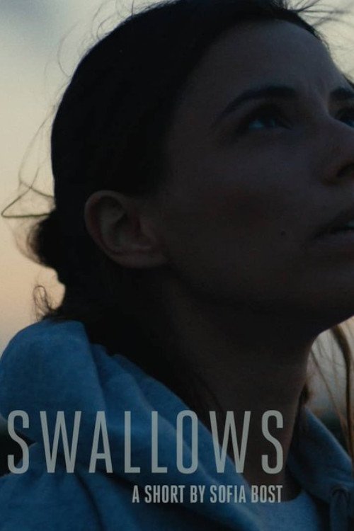 Movie poster for Swallows (2015)