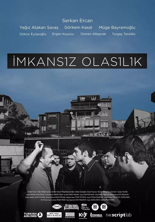 Movie poster for Impossible Probability (2016)